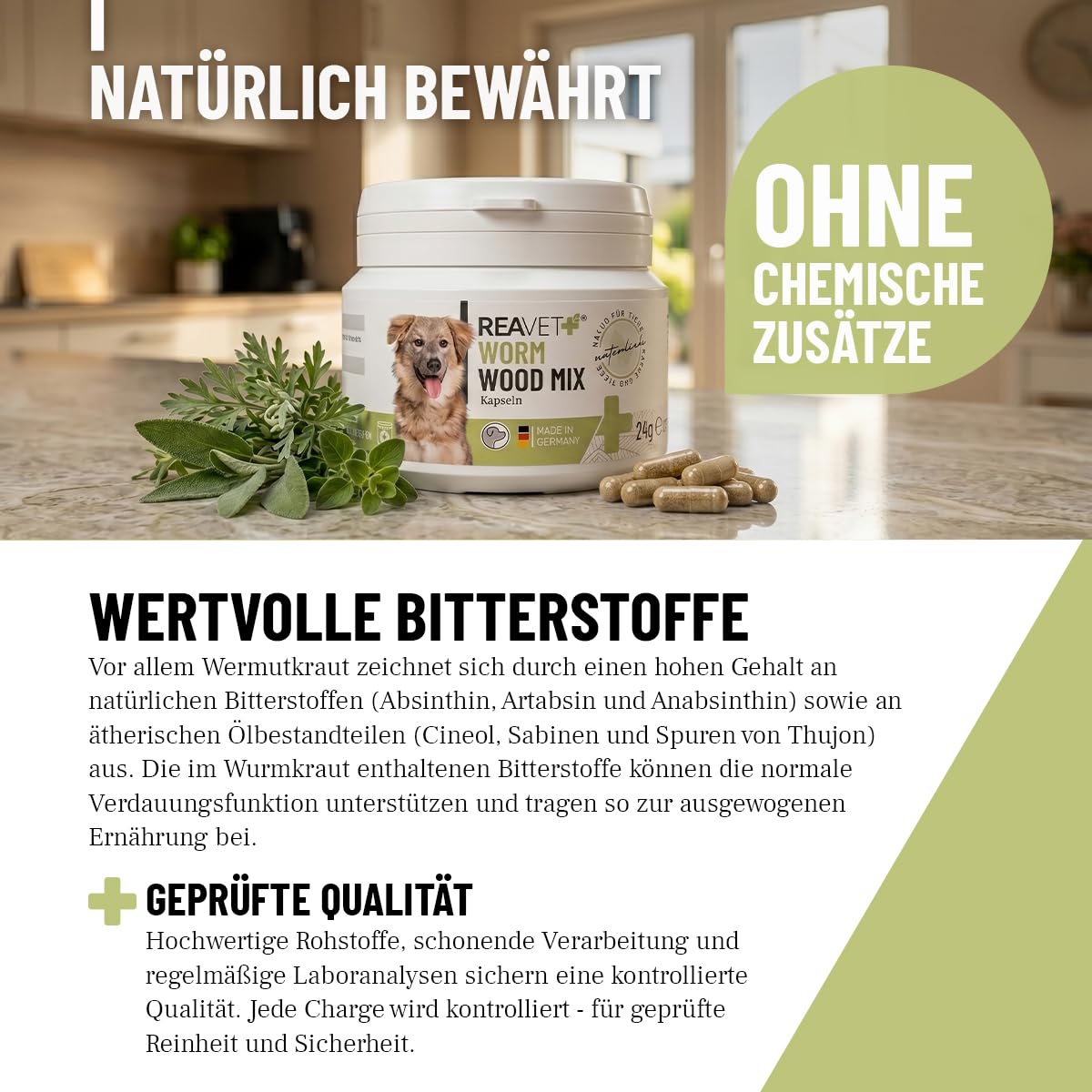 ReaVET Wormwood Mix Cápsulas para perros, 50 comprimidos, producto natural, armoniza el tracto gastrointestinal, flora intestinal sana, formulación de gusanos