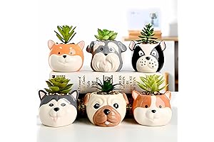 Dog Planter Pot for Indoor Plants - 6 Pack