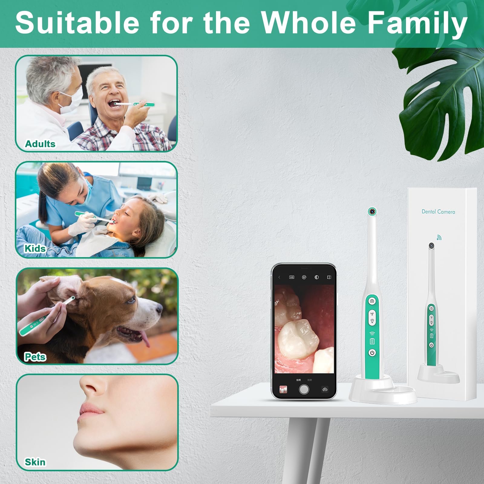 Bezprzewodowy endoskop dentystyczny WiFi, 8 regulowanych diod LED Kamera wewnątrzustna Kontrola zębów wideo, kamera wizualna kompatybilna z Androidem i iPhone'em, dla dorosłych Dzieci Zwierzęta FHD