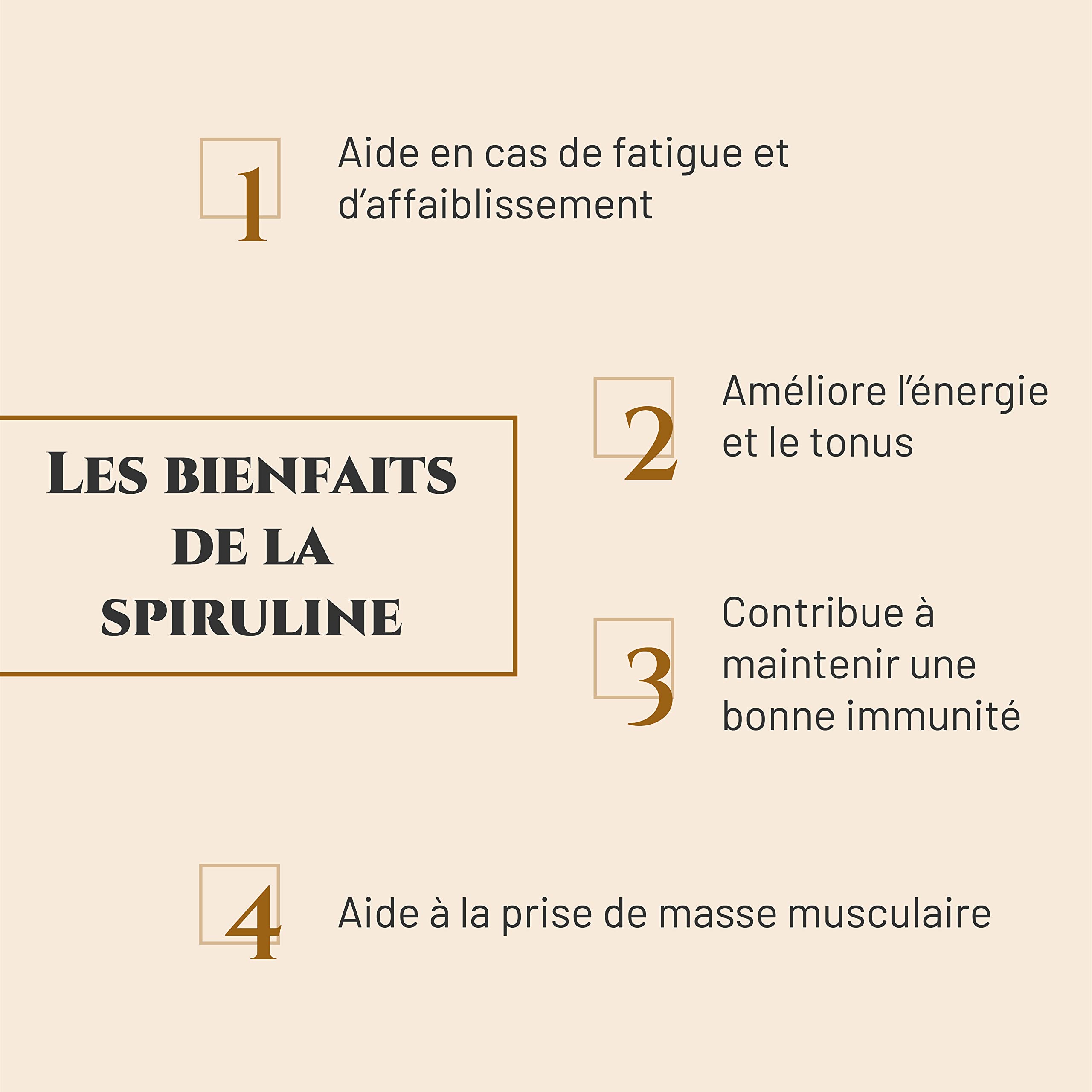 SPIRULINE - Complément nutritionnel Cheval - Seau 1 kg - Riche en protéines, vitamines, minéraux - Energie - Vitalité - Masse Musculaire Cheval - Marque Française