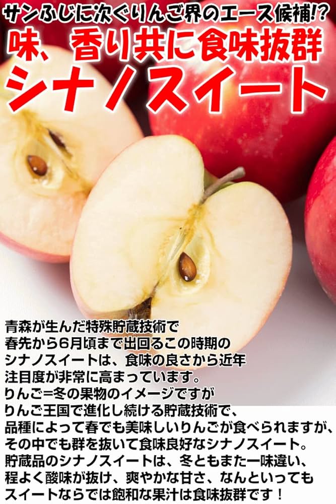 りんご　1010 訳あり りんご サンふじ 10kg 送料無料 山形県産 無選別 26~55玉