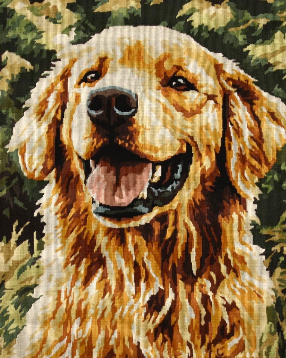 WallustrioaW Cross Stitch Kits,Golden Retriever, Animal Dog,11CT Cross Stitch for Adults,Stamped Cross Stitch Kits Beginner Embroidery for Adults,40x50cm