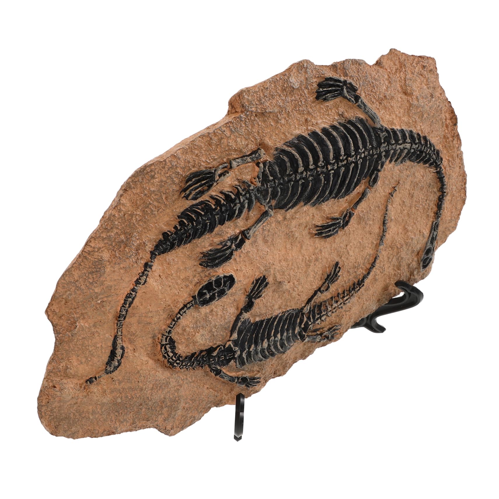 Giocattoli Dinosauro Antico Dinosauro Da Tavolo Per Ragazzi E Ragazze 1 Set