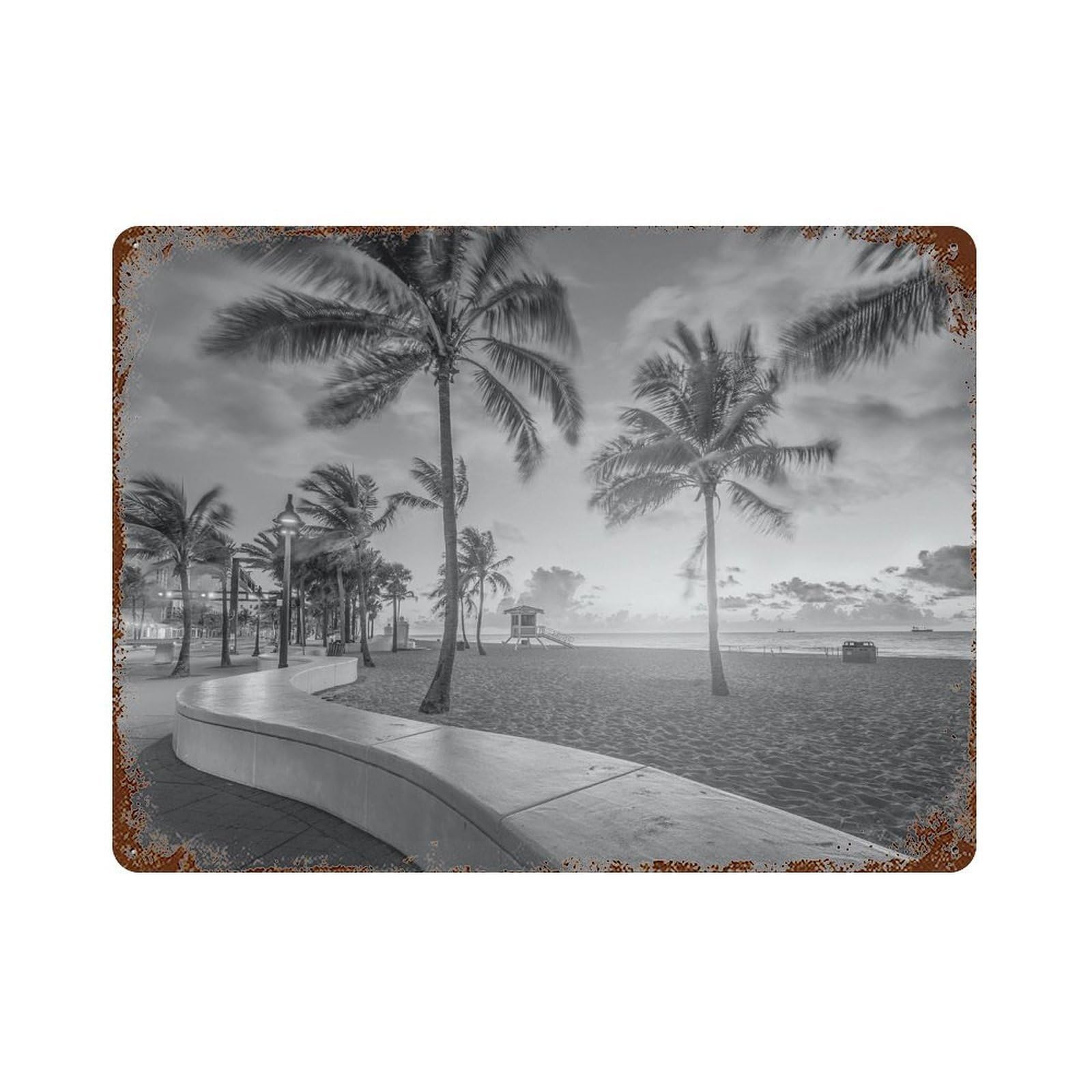 xiaoxiaoshen Black And White Florida Photo Decor USA Wall Decor Art Metal Tin Poster Modern Home Decor Art Home Bar Shop Decorations Vintage Sign 30x40cm