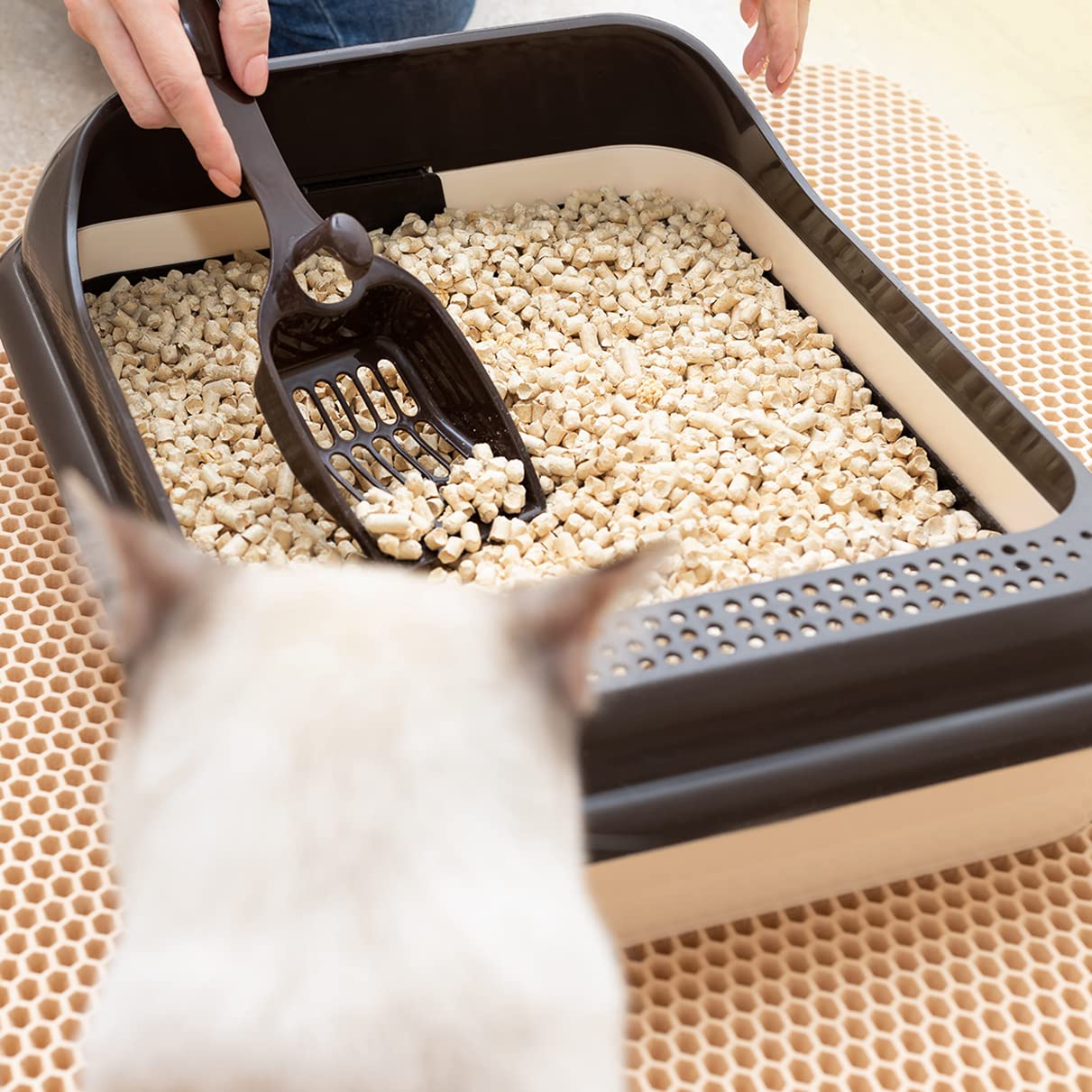 Cat&Rina WeVegetal żwirek dla kotów, 100% pochodzenia roślinnego, piasek kukurydziany, do 30 dni użytkowania, do użytku w organicznej lub toalecie, 6 opakowań
