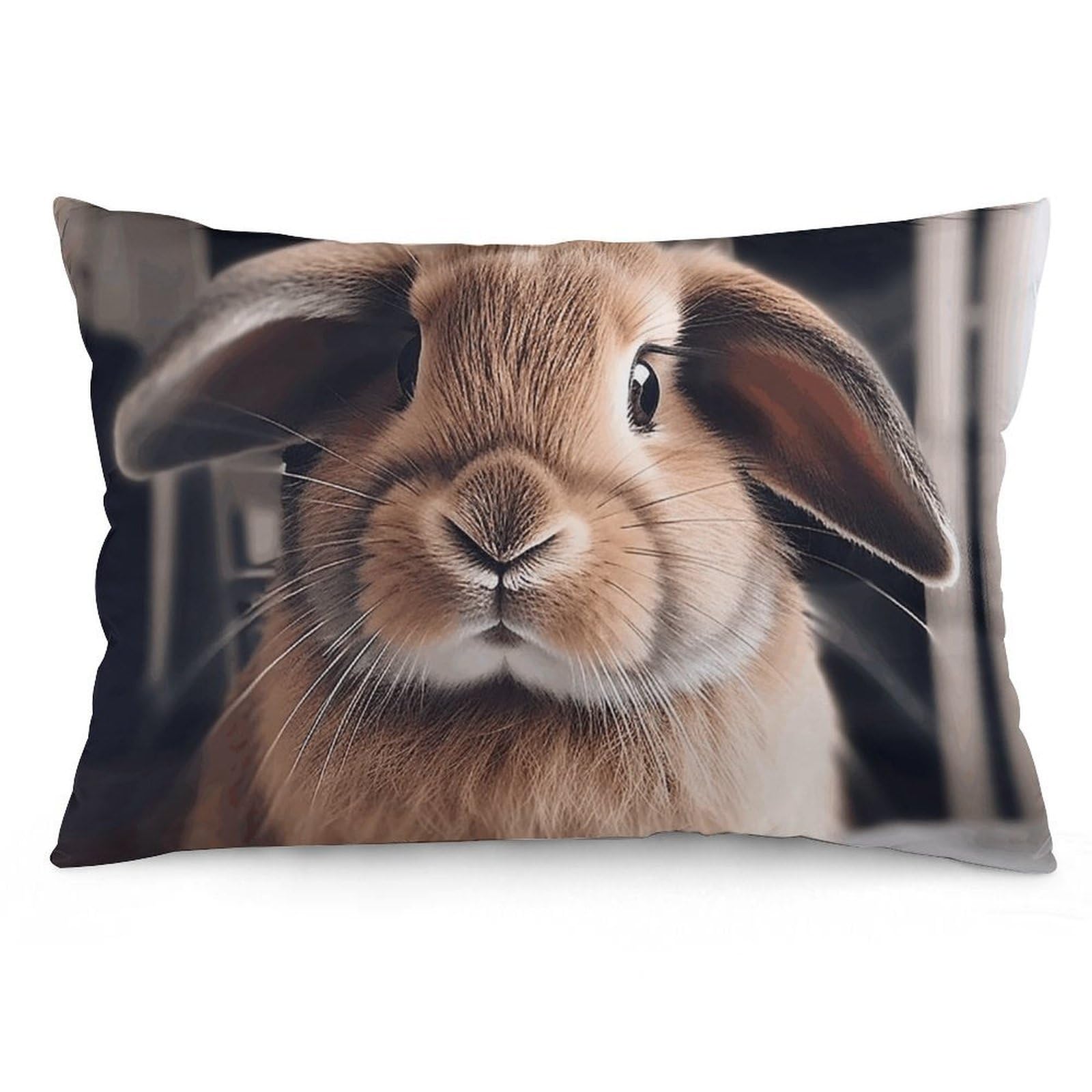 Velvet Pillowcases Standard Size 12 "x20, Ultra Soft Breathable Pillow Cases for Bed, Luxury Cozy Fuzzy Pillow Shams, Lumbar Pillow Cover, Rabbit on Bed Cushion Case Home Decor