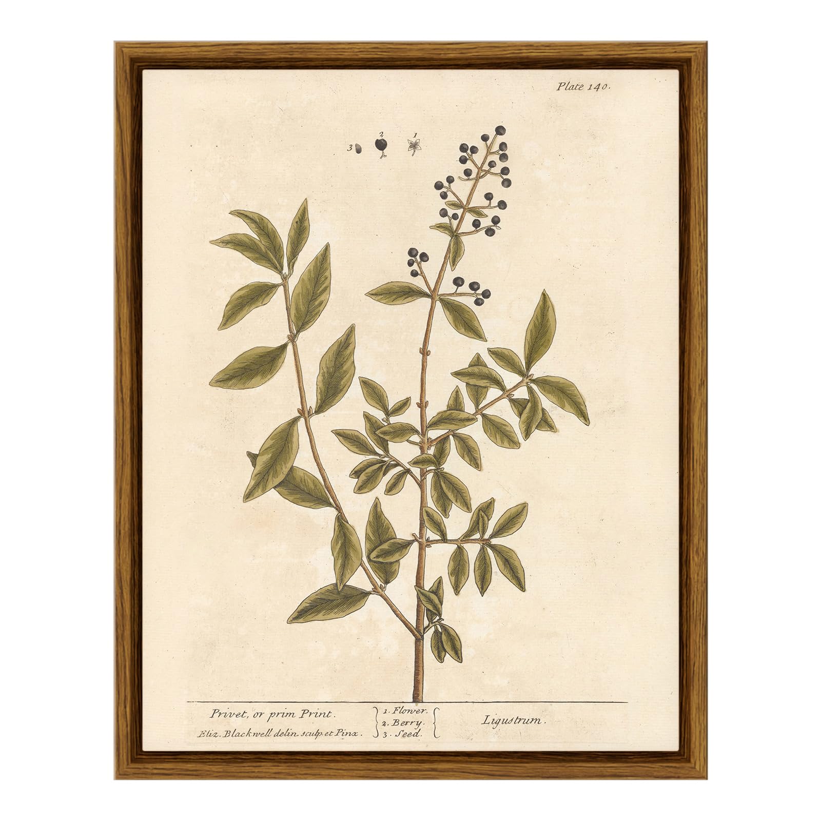 VIYYIEA Framed Boho Wall Art with Holder Minimalist Botanical Print Canvas Wall Art Pictures for Rustic Vintage Farmhouse Home Kitchen Wall Decor 8x10in