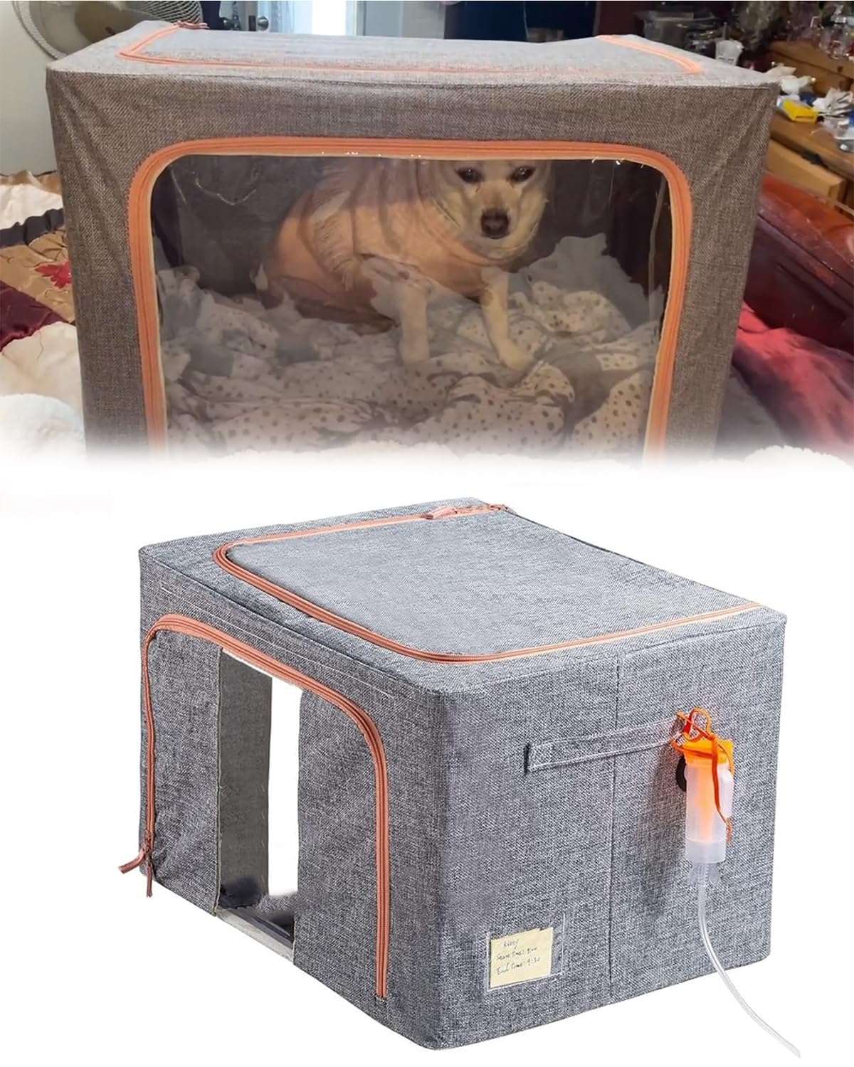 Tente nébuliseur portable oxygène chaton chambre médicale ICU