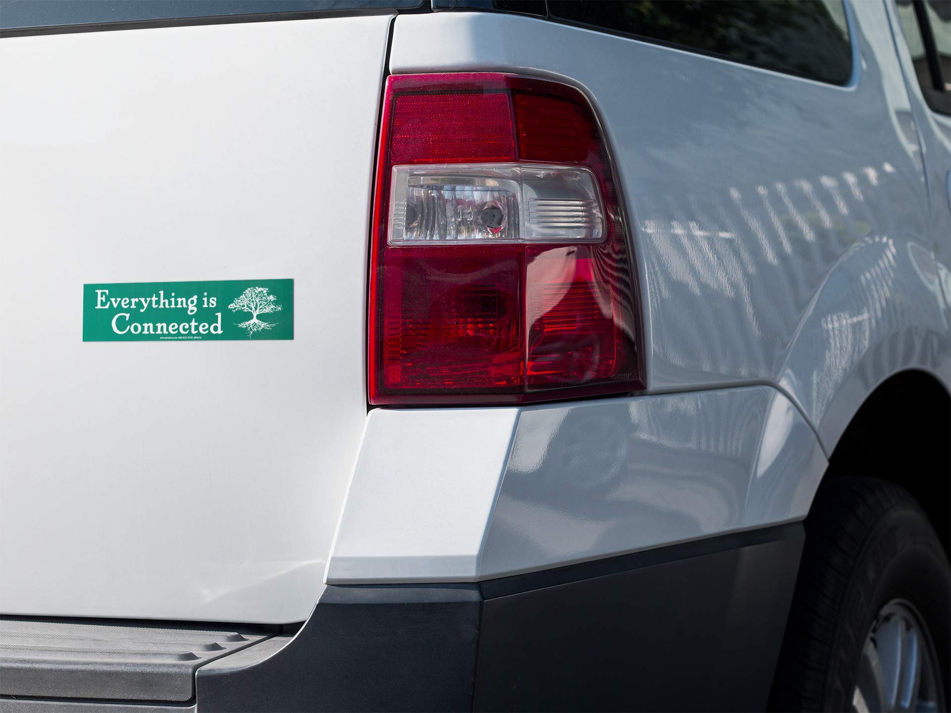 Everything is Connected - Environmental Bumper Sticker/Decal 9.5-by-2.5 Inches