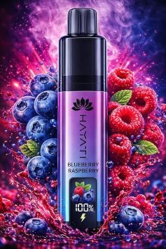 Hayati 6000 Pro Max Plus 6K Bluberry Raspbery 1 pack