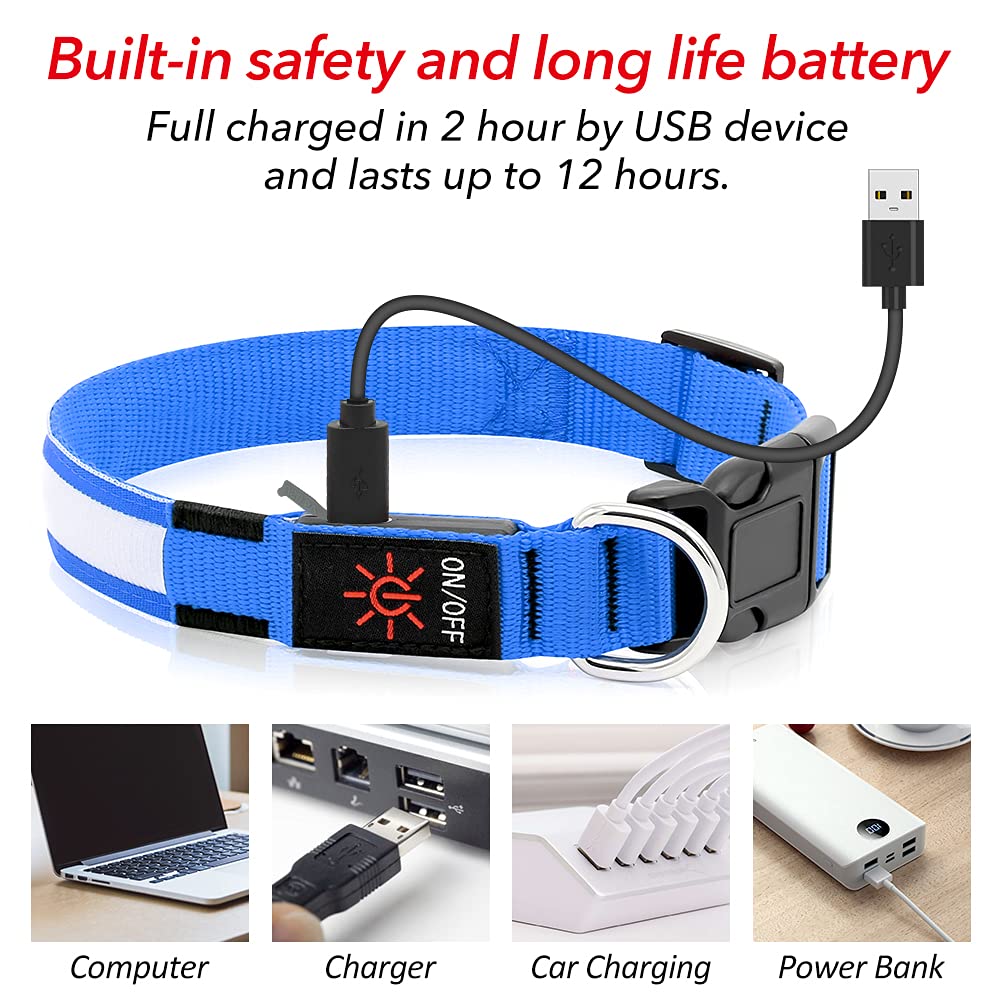 BSEEN Collar de perro con luz LED reflectante, recargable, resistente al agua, brilla en la oscuridad, para perros pequeños, medianos y grandes (azul rey, mediano)