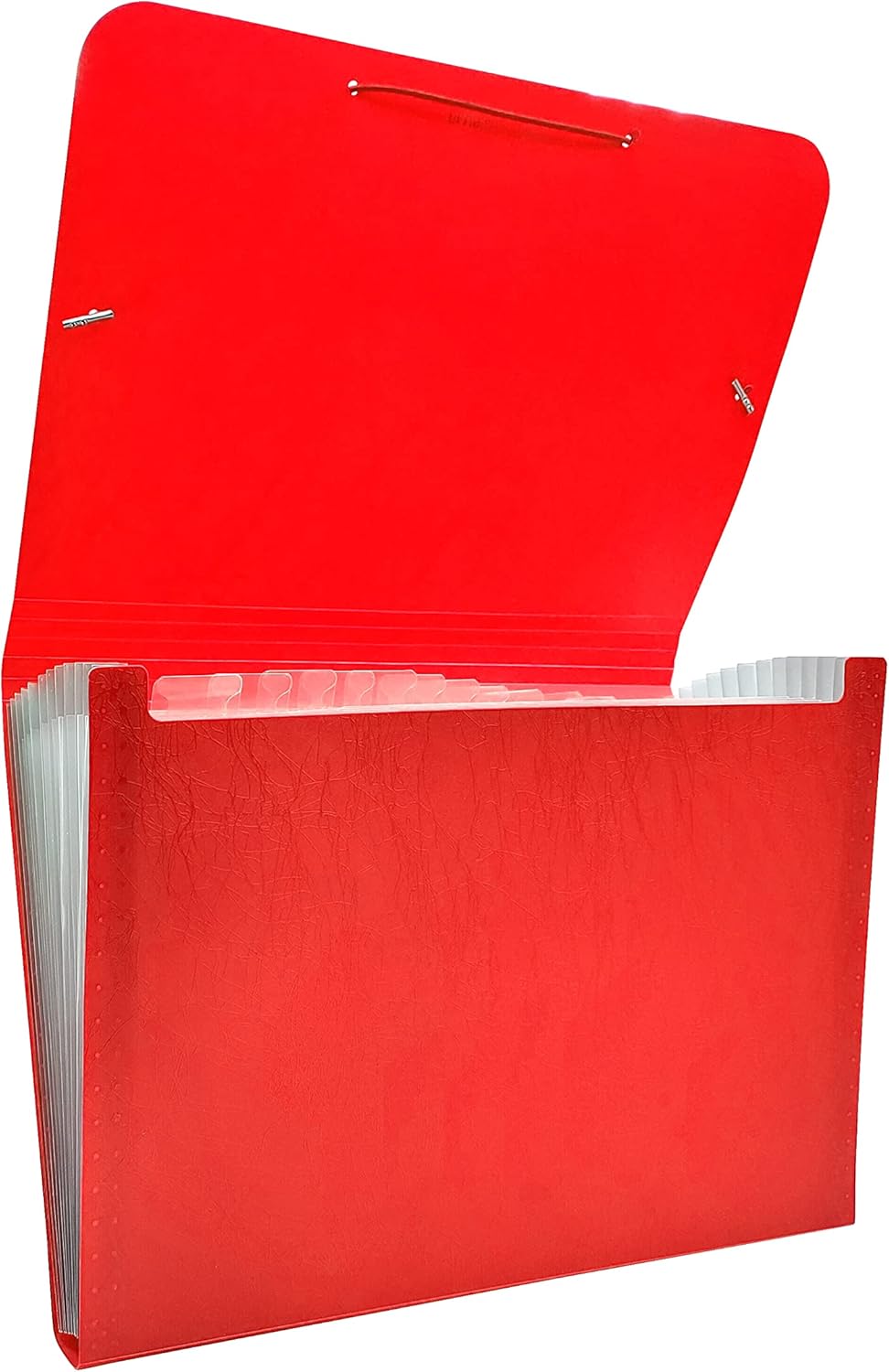 Raylu Paper® - Accordion Document Folder with 12 Compartments, Opaque Plastic File Cabinet with Dividers for Office (Red)
