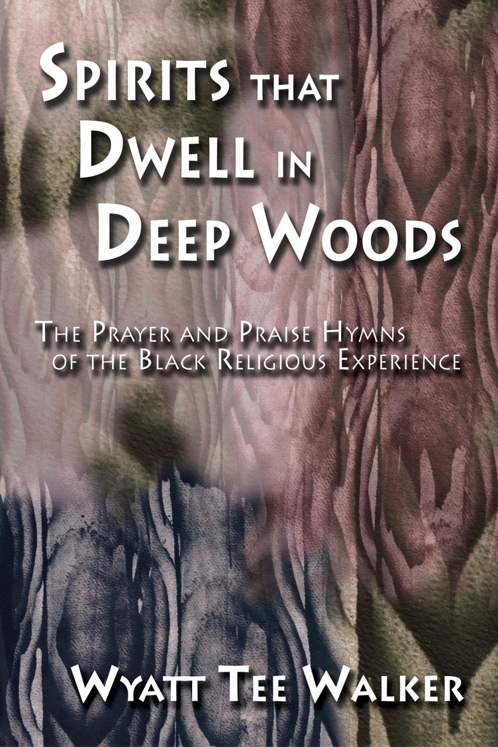 Spirits That Dwell in Deep Woods L'Âme du Negro Spiritual Livre
