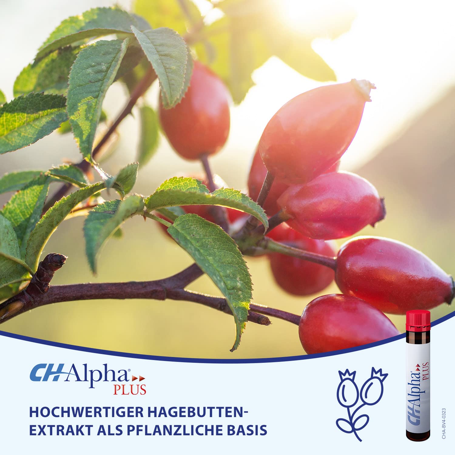 CH-Alpha PLUS Kollagen Trinkampullen | Premium Trinkkollagen mit hochwertigen Peptiden, Hagebuttenextrakt & Vitamin C | glutenfrei, laktosefrei, ohne Gentechnik | Monatskur 30 Ampullen