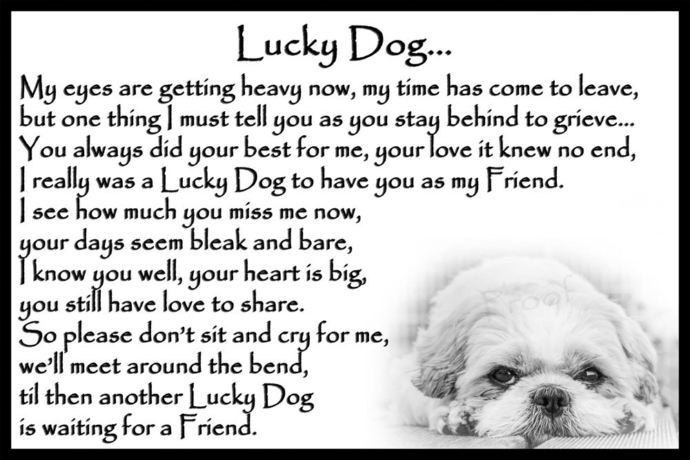 Shih Tzu Memorial Dog Bereavement pet Loss Flexible Fridge Magnet - Lucky Dog