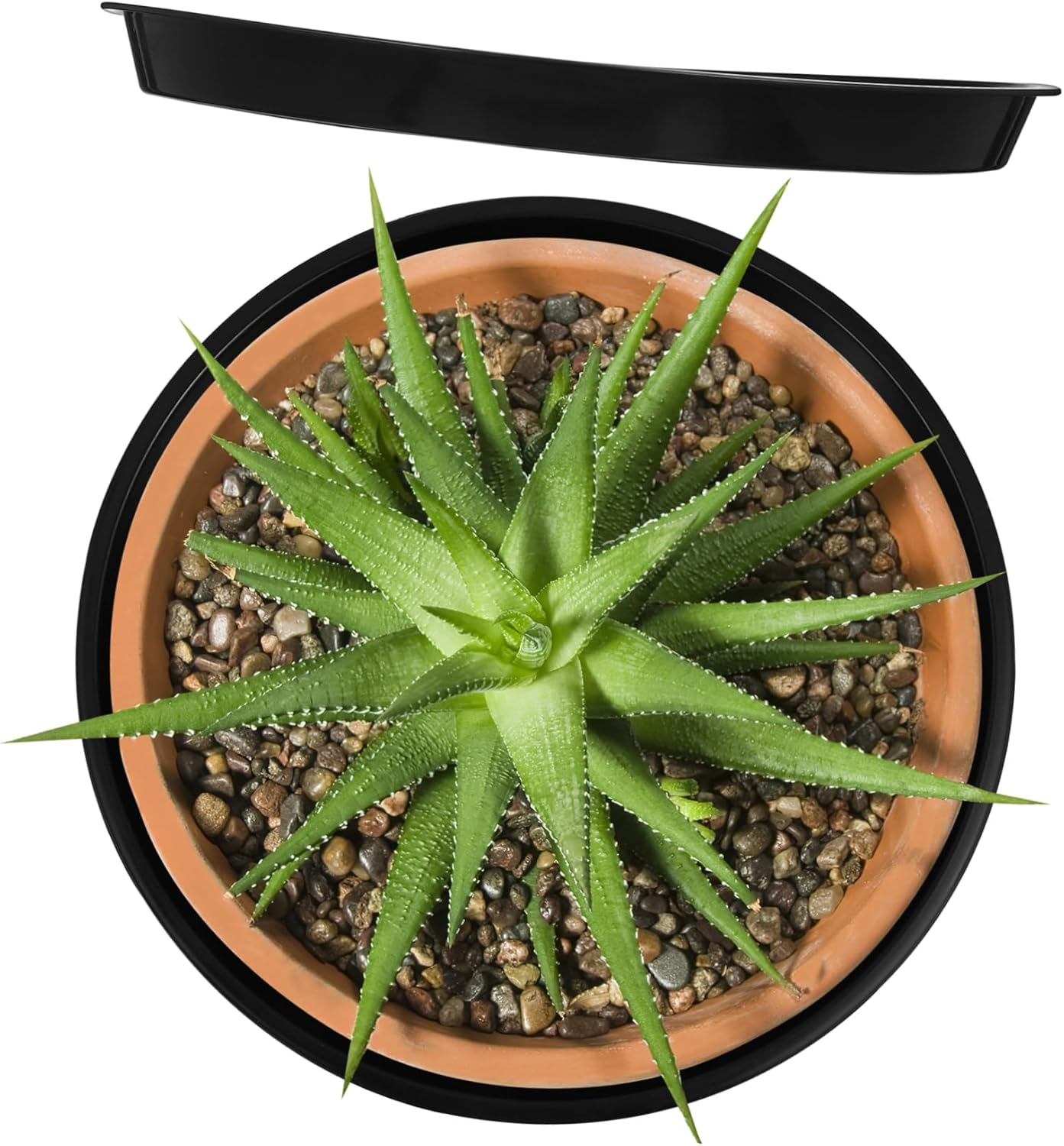 MERRYHAPY 10pcs Flower Pot Saucer Trays Raised Edges for Indoor and Outdoor Plants Water Catching Drip Trays for Home Gardening