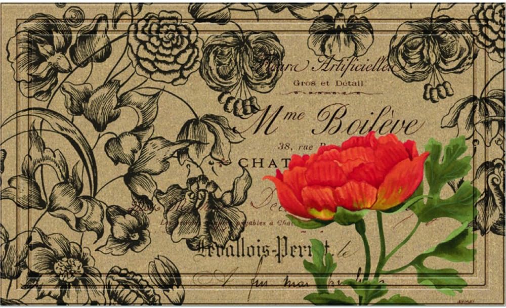 Naturelles 60-797-1573-18x30 Apache Mills Vintage Floral Peony Doormat, 18-Inch X 30-Inch, Multi