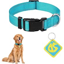 Dog Halloween Costume, Dog Tag with Nylon Adjustable Collar for Dogs - S