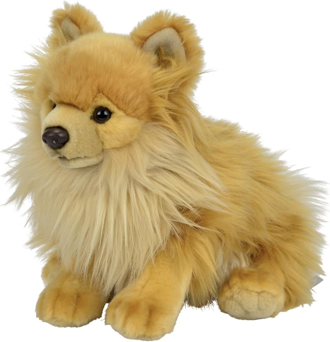 Floppy Pomeranian Soft Toy with Beans 26 cm