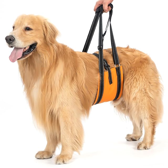 Avont Arnés de Elevación para Perros