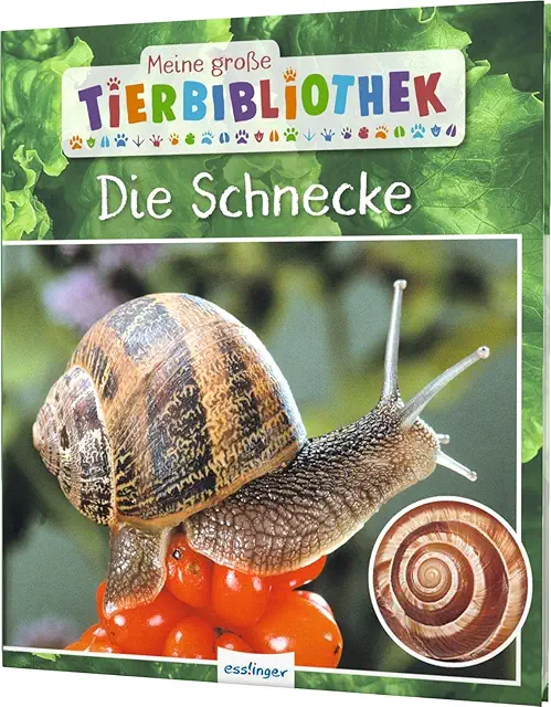 Schnecke Sachbuch für Vorschule & Grundschule: Meine große Tierbibliothek