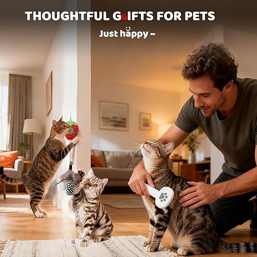 Miniatura 6 de Alimentador automático y dispensador de agua en set Pet Orange