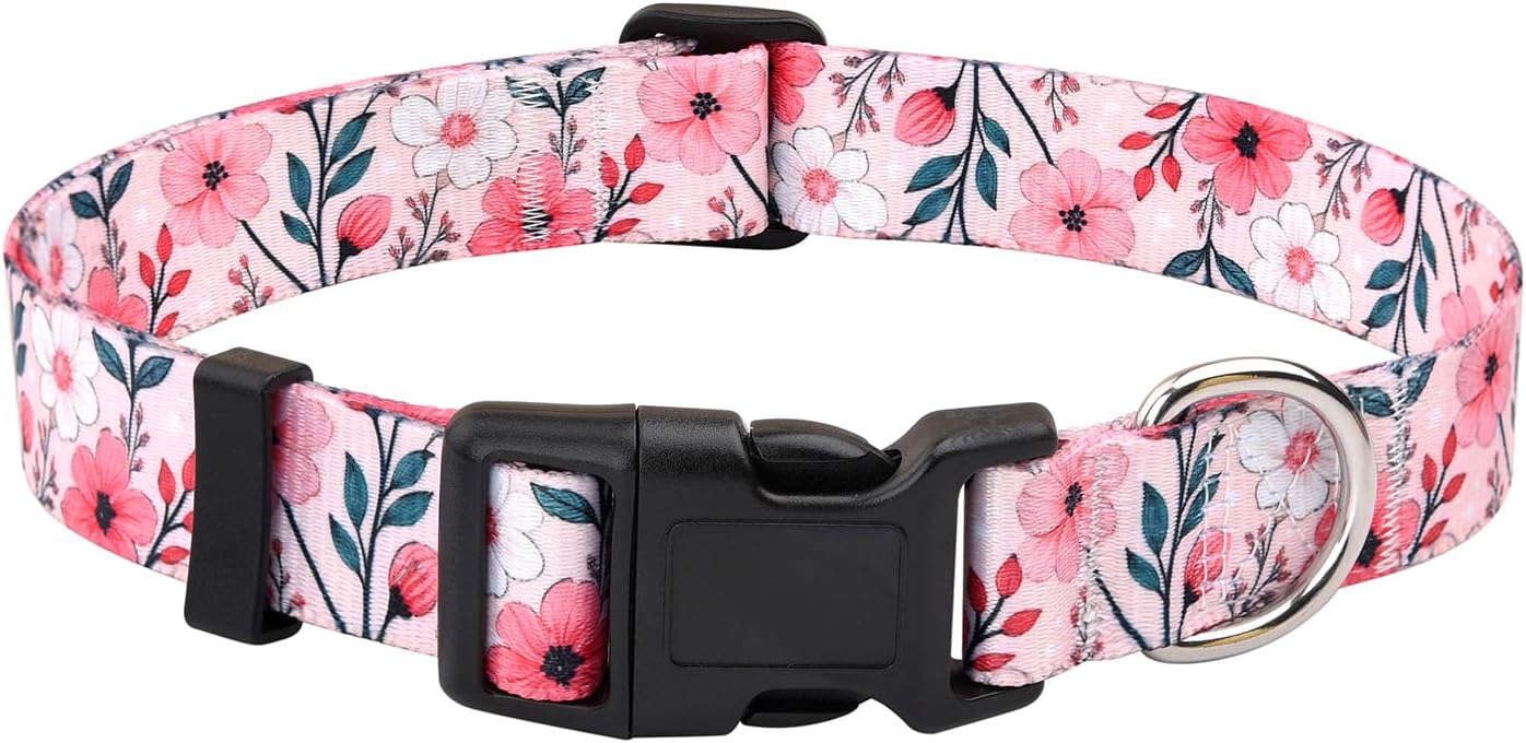 Floral Dog Collar, Adjustable Soft Nylon Pet Collar for Small Medium Large Dogs, Cute Flower Pattern Dog Collar for Girl Boy Dogs(Blush Vine,XS)
