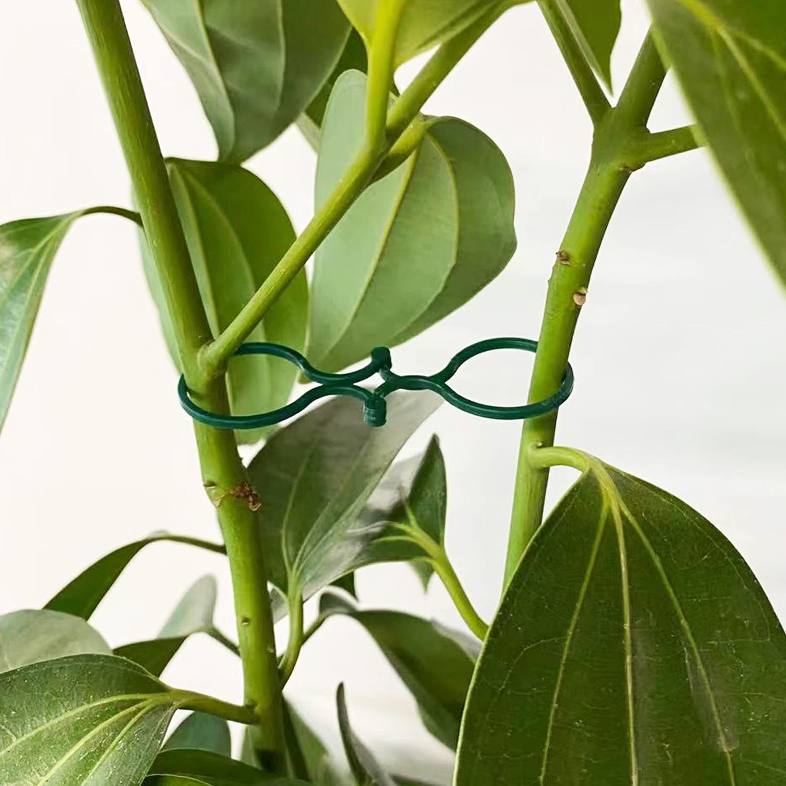 200 Clip Di Supporto Per Piante Rampicanti In Plastica Resistente, Facili Da Usare Per Giardino, Balcone E Orto