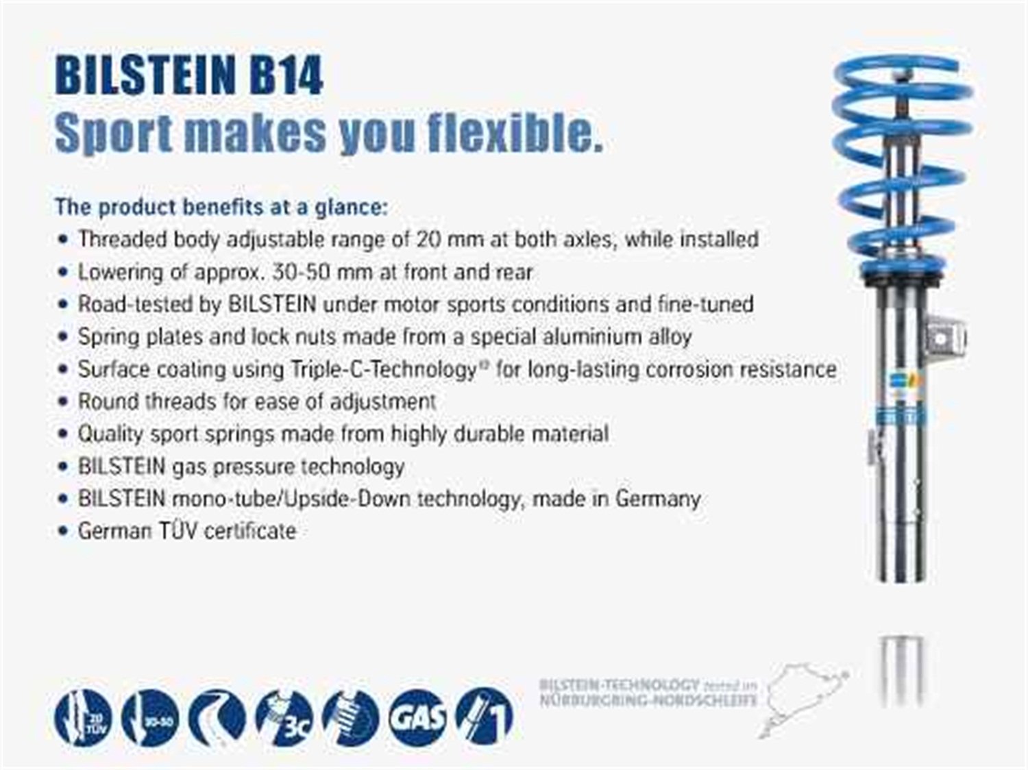Amazon.com: Bilstein B14 (PSS) 12-17 Fiat 500 Suspension Kit (47