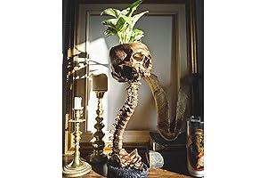 Skeletal Candy Bowl – Eerie Elegance with a Bite