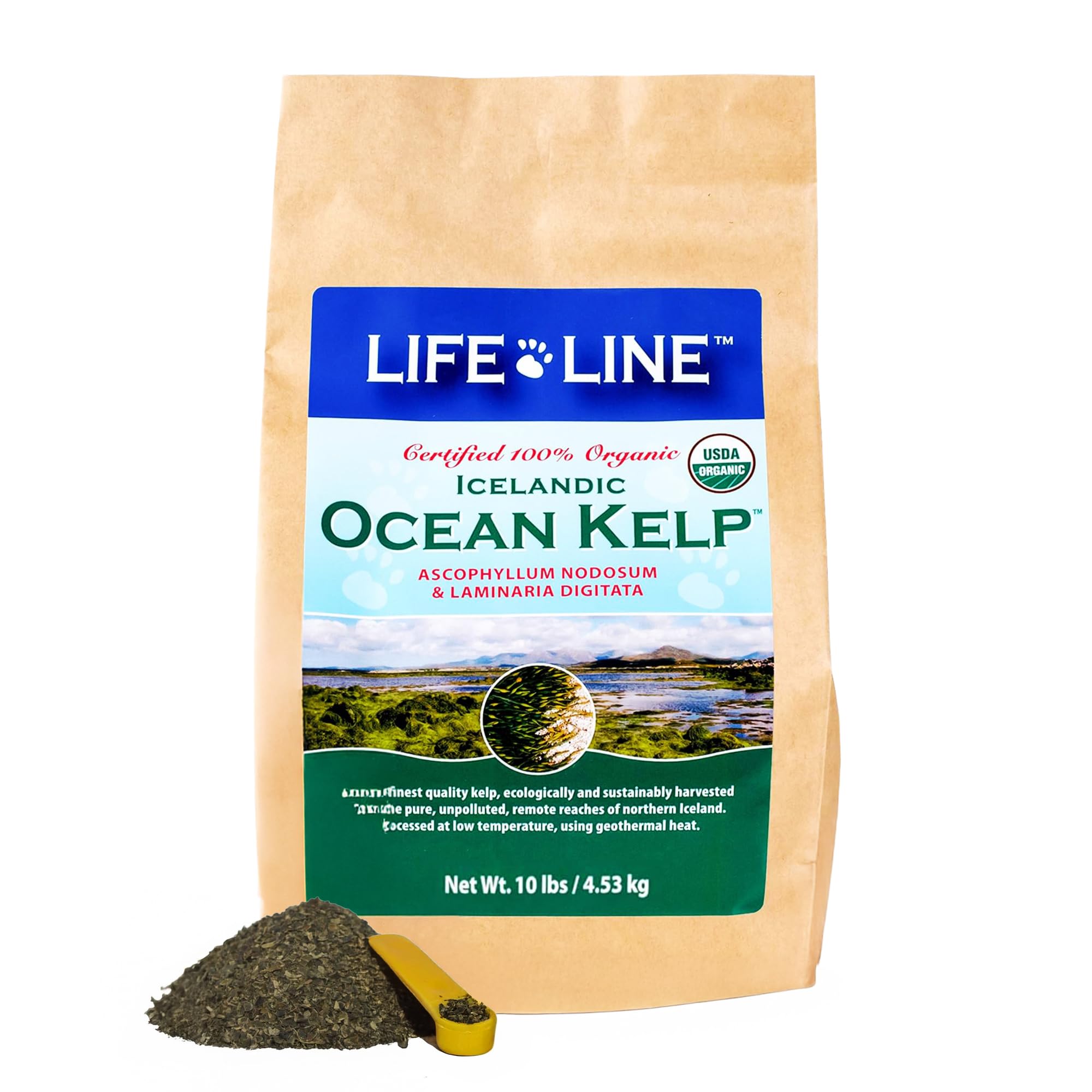 Organic Ocean KELP 10 LB
