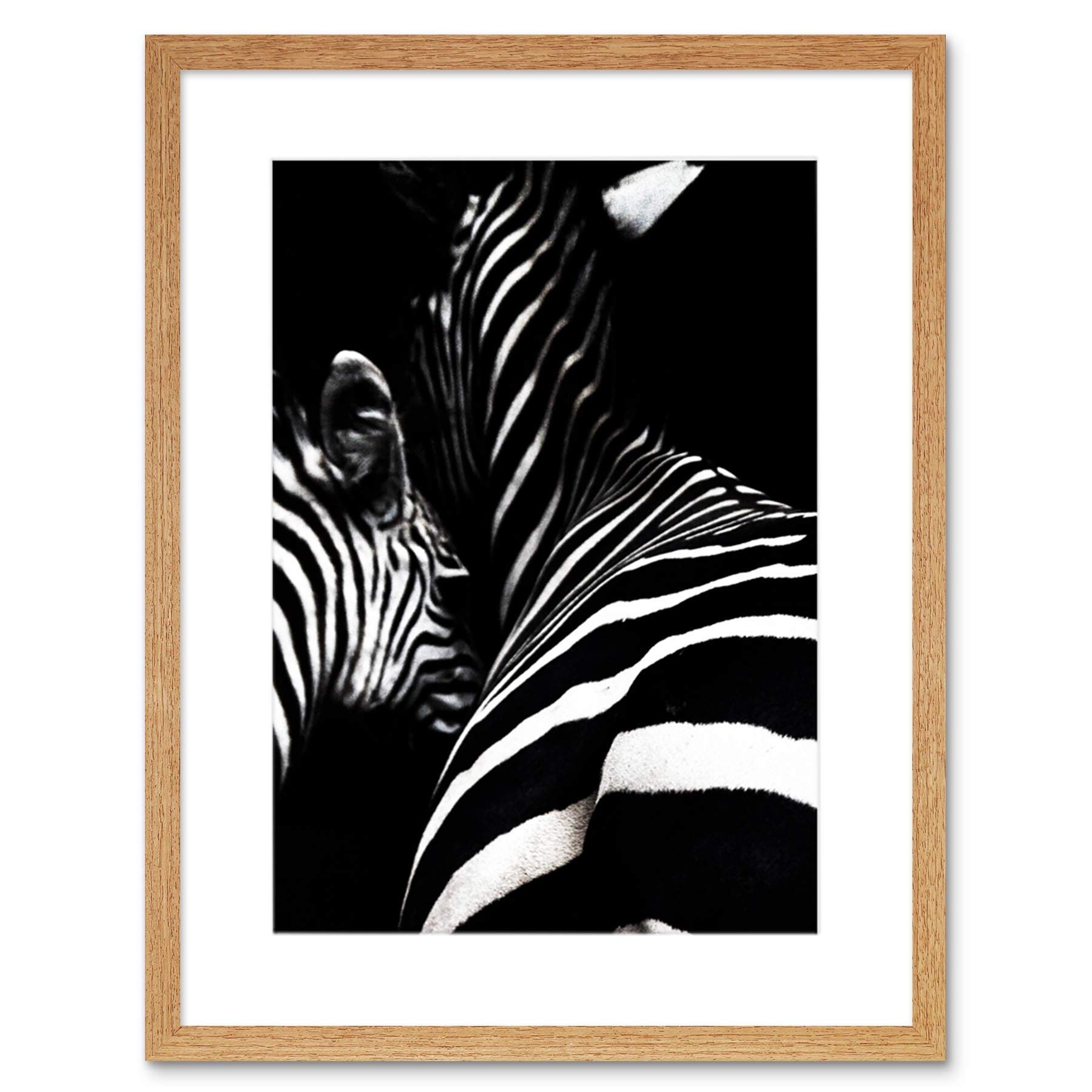 Amazon.com: Zebra Black and White Photo Art Print Light Oak Framed