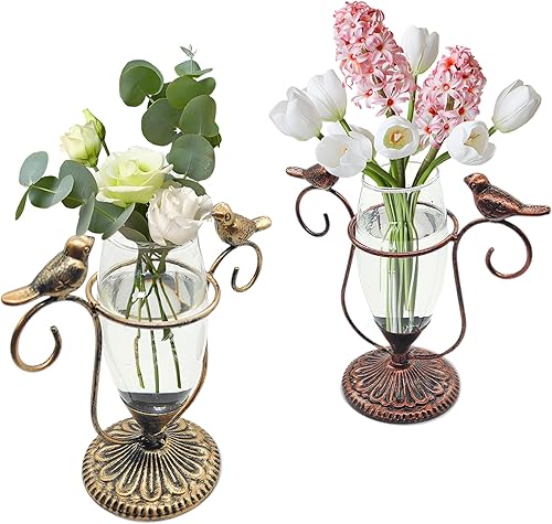 Miniatura 8 de POXOHO Terrario para plantas de escritorio, jarrón de propagación de vidrio de hierro para pájaros, macetas de propagación con marco de metal