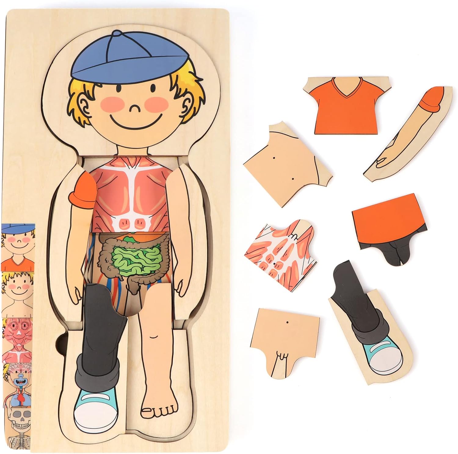 Vomocent Wooden Human Body Puzzle for Kids and Toddlers