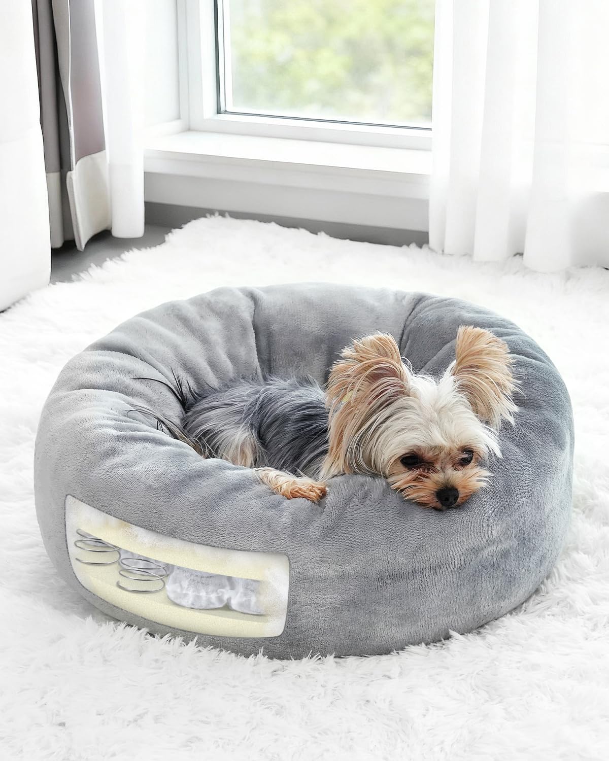 Small Dog Bed with Pocketed Coils and Soft Foam Support Detachable Washable Calming Puppy Bed for Small Dogs