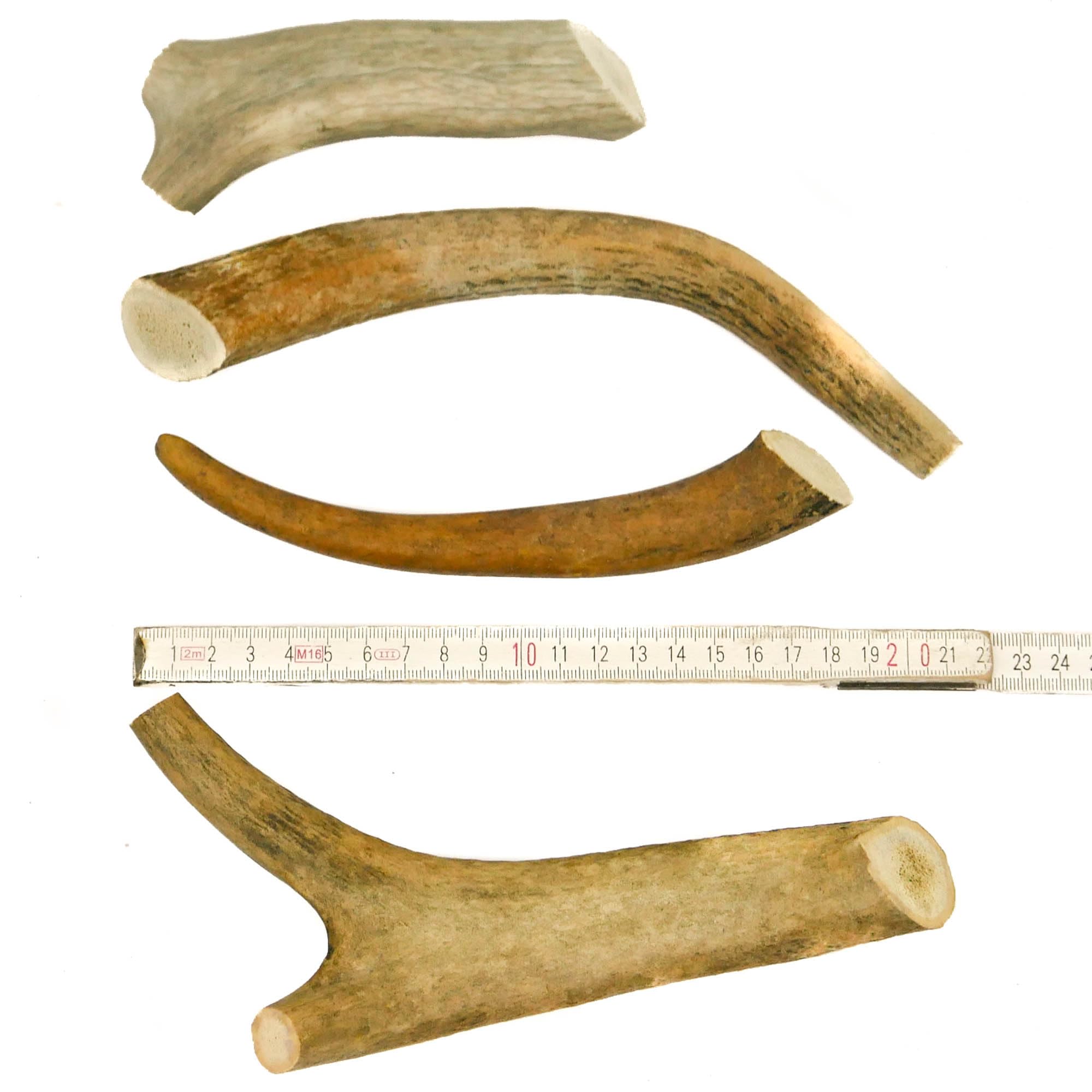 RF-Deer Asta de Ciervo Natural, Decoración Única, Juguete para Perros, Juguete de Masticar, Seguro para Perros, La Subasta Incluye la Venta de 1 kg (10-20 cm, 7-12 Piezas)
