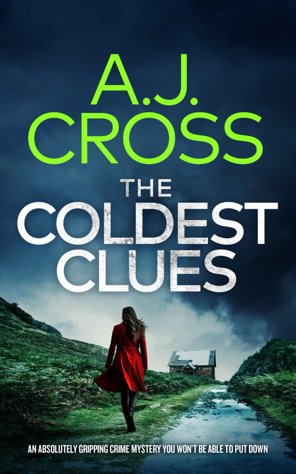 THE COLDEST CLUES an absolutely gripping crime mystery you won’t be able to put down (Dr Kate Hanson Mysteries)