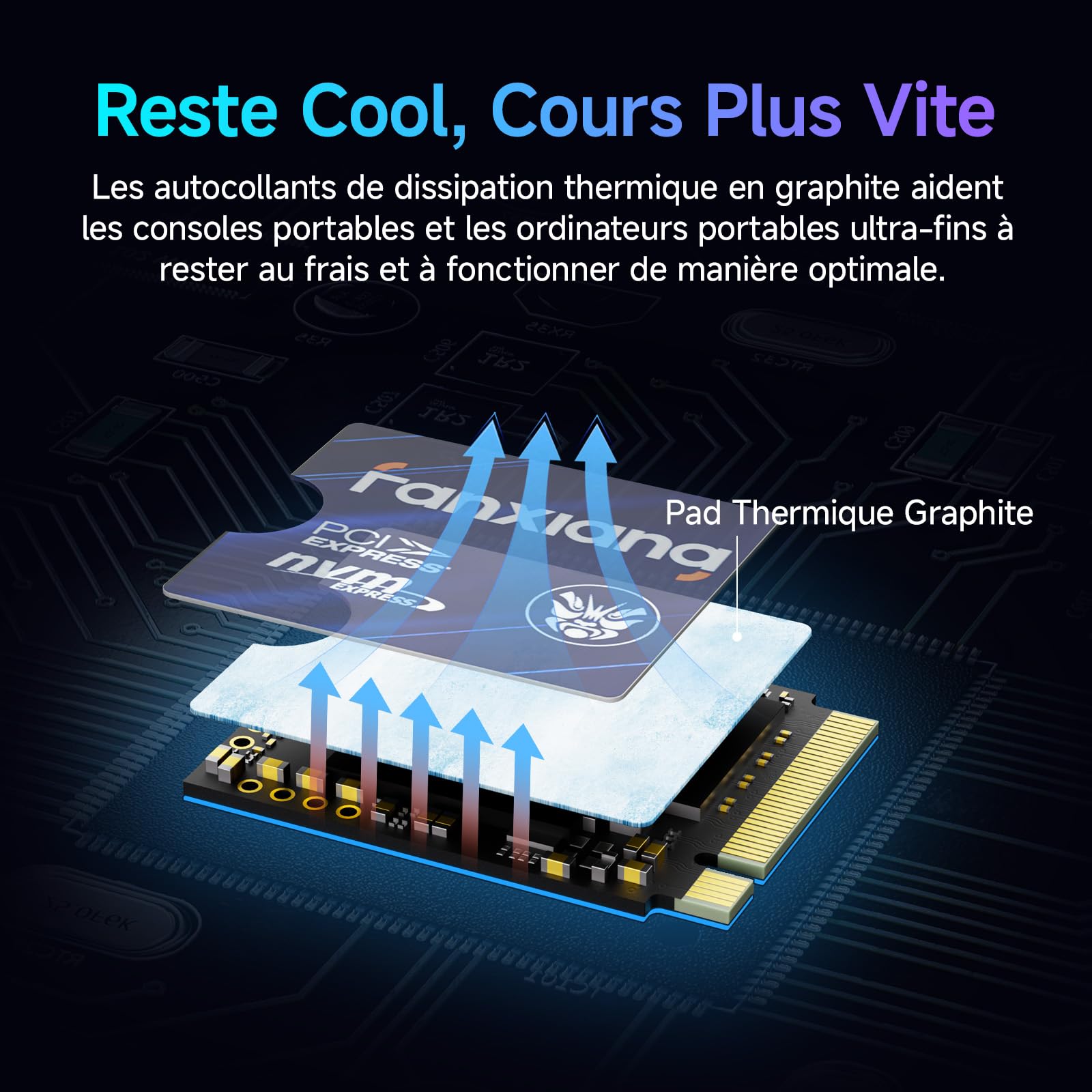 fanxiang S630 2To SSD M.2 2230, NVME M2 PCIe Gen4x4, Jusqu'à 5200Mo/s, pour Rog Ally, Steam Deck, Microsoft Surface Pro, Mini PC, Ultrabook - Disque Dur SSD Interne