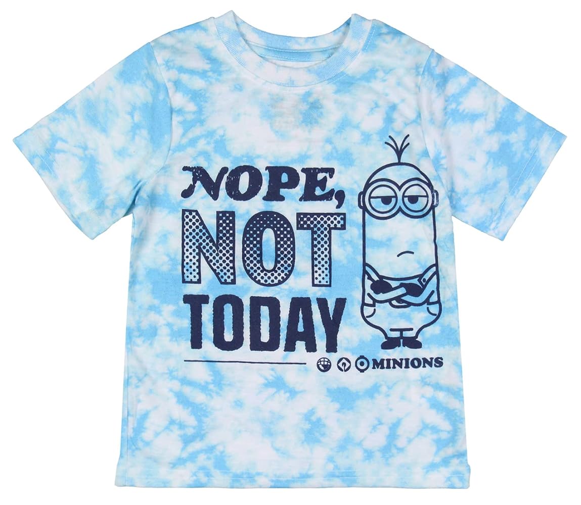 Amazon.com: Despicable Me Youth Kids Minions Nope Not Today