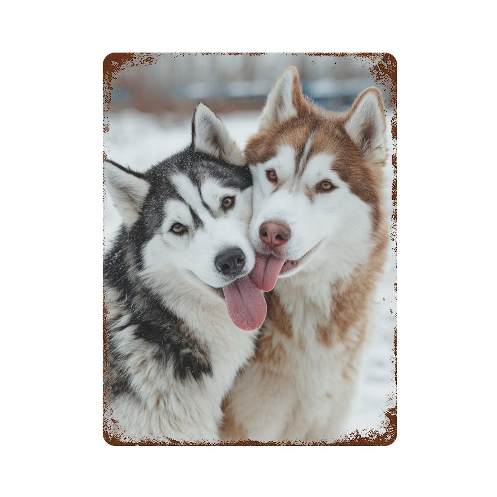 Winter Huskies in Snow 15.7"x11.8" Rustic Tin Plaque, Retro Wall Decor for Garage, Bar And Workshop Decor