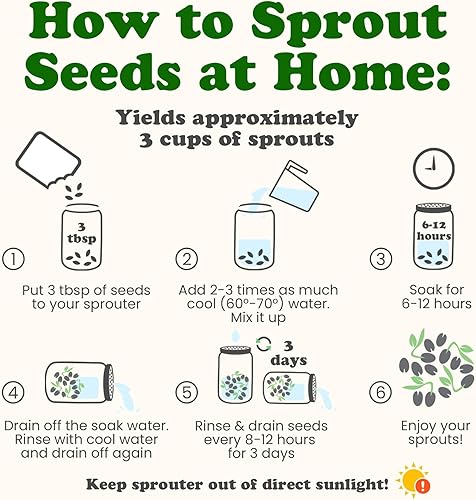 Miniatura 8 de Mezcla antioxidante de semillas germinantes, 8 onzas  Brócoli, trébol, alfalfa, kosher, crudo, vegano