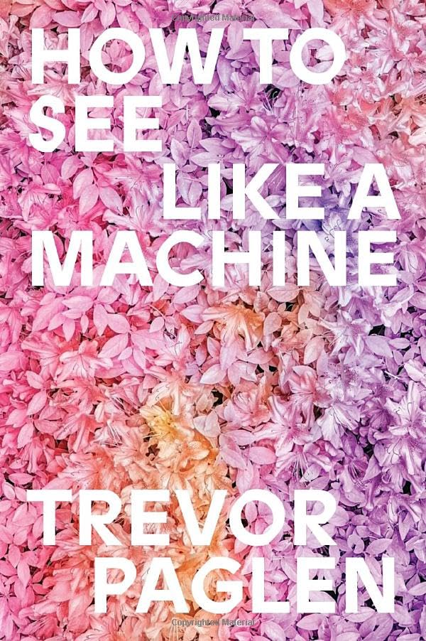 How to See Like a Machine: Images After AI