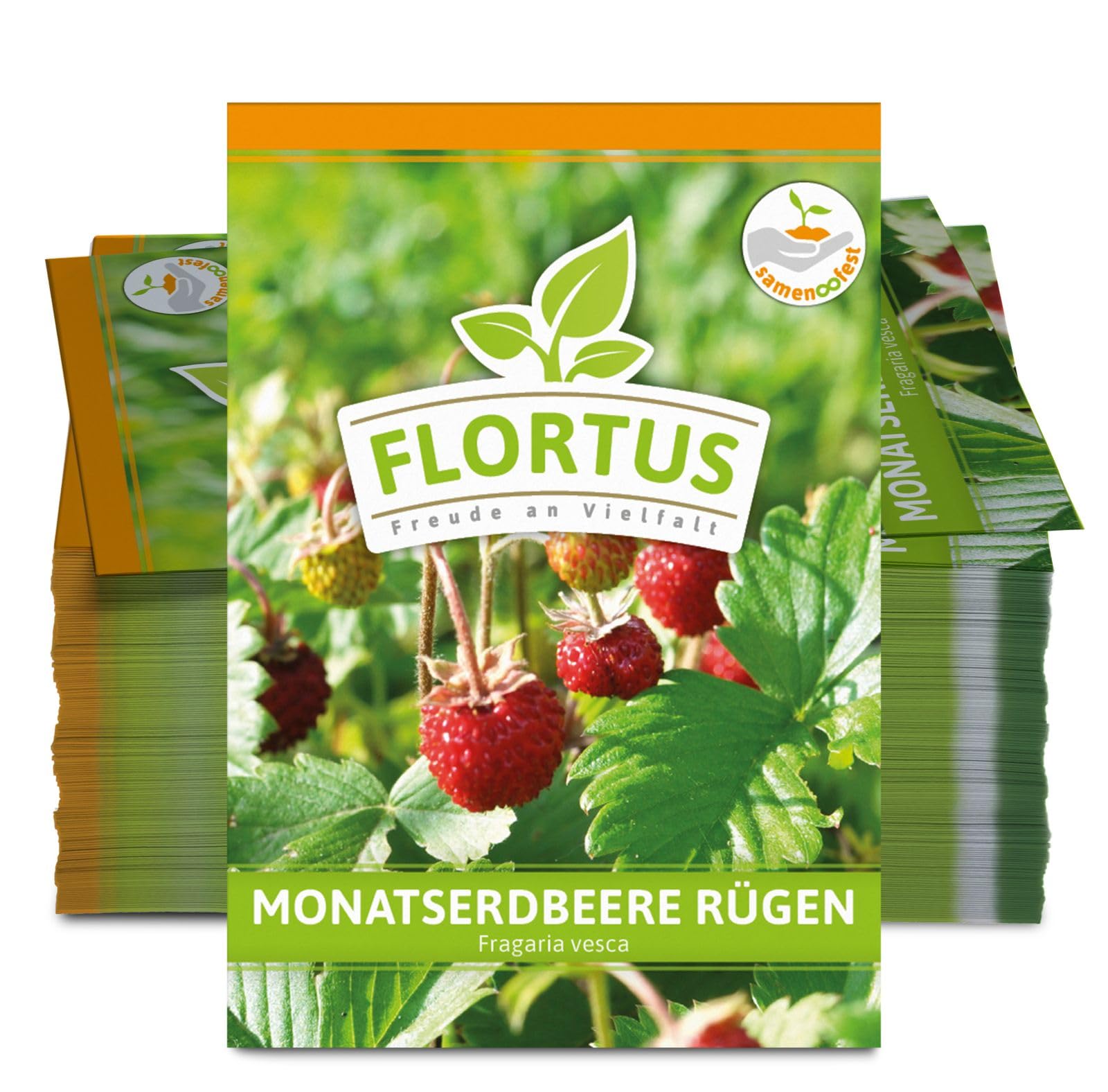 FLORTUS 2000-0771-100x Monatserdbeere Rügen (100 Tütchen) (Erdbeersamen)