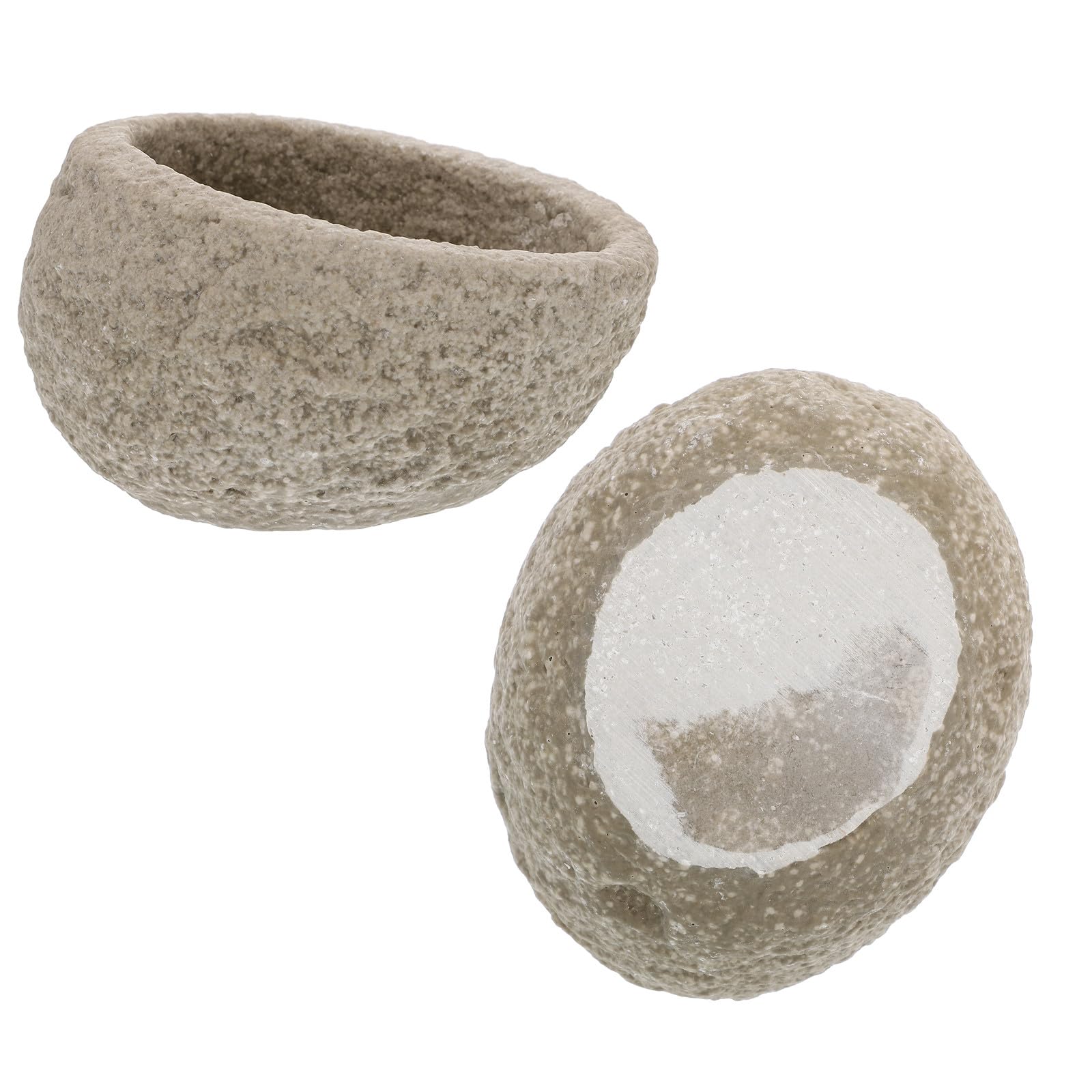 Gamelle pour reptiles BESPORTBLE en résine bol robuste lézard x2