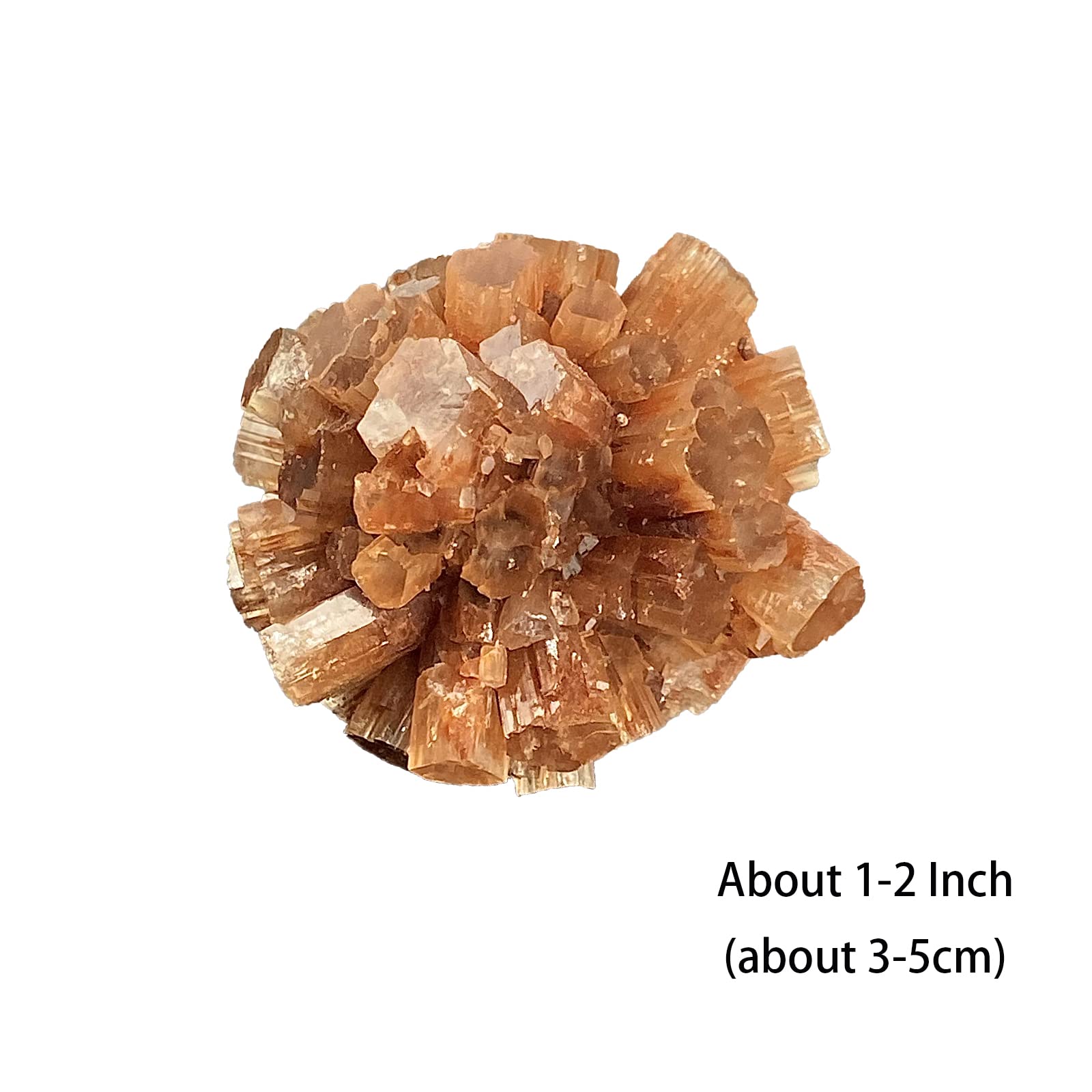 蛍光アラゴナイト クラスター　３セット Amazon.co.jp: 1.5 