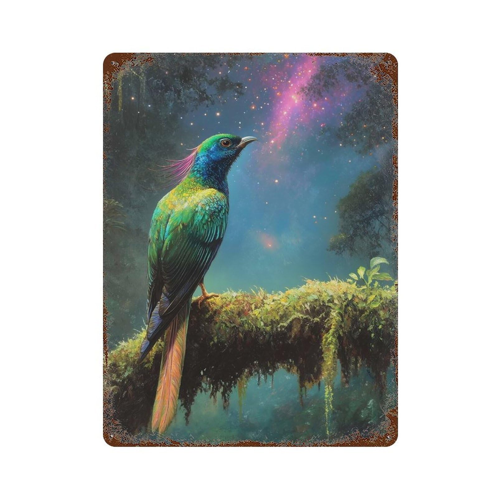Exotic Bird Under Starry Sky Rust Effect Tin Sign 15.7"x11.8", Novelty Wall Decor for Garage, Pub Or Kitchen
