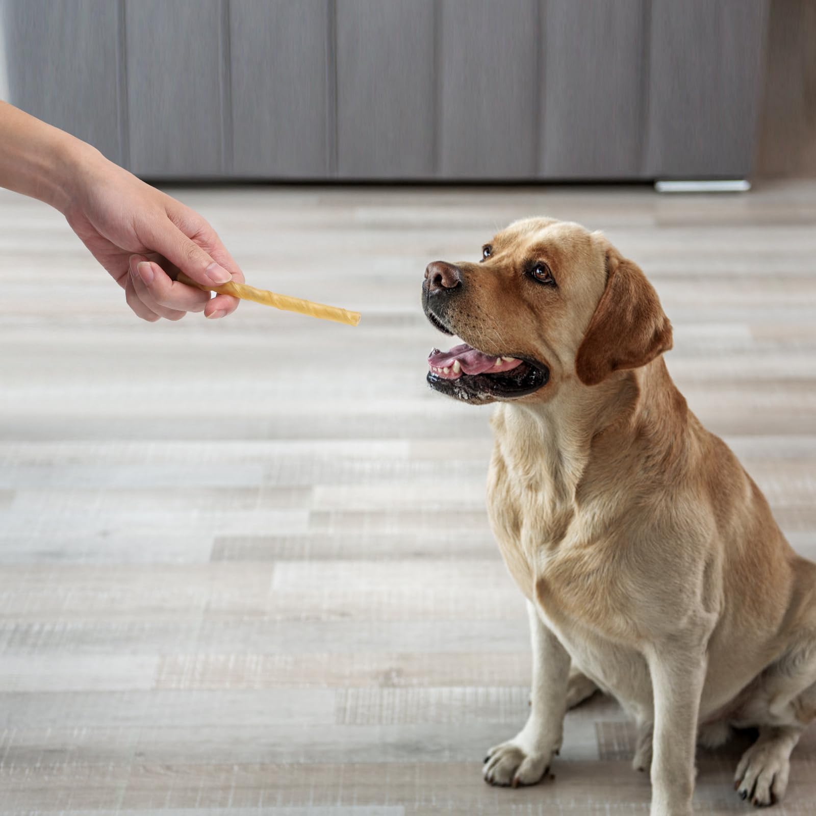Nobleza - Bastoncini per Cani Pelle Bufalo, Confezione da 120, 125mm x 10mm, Snack per Cani Naturali , Rinforzante per Denti Bastone Dentale