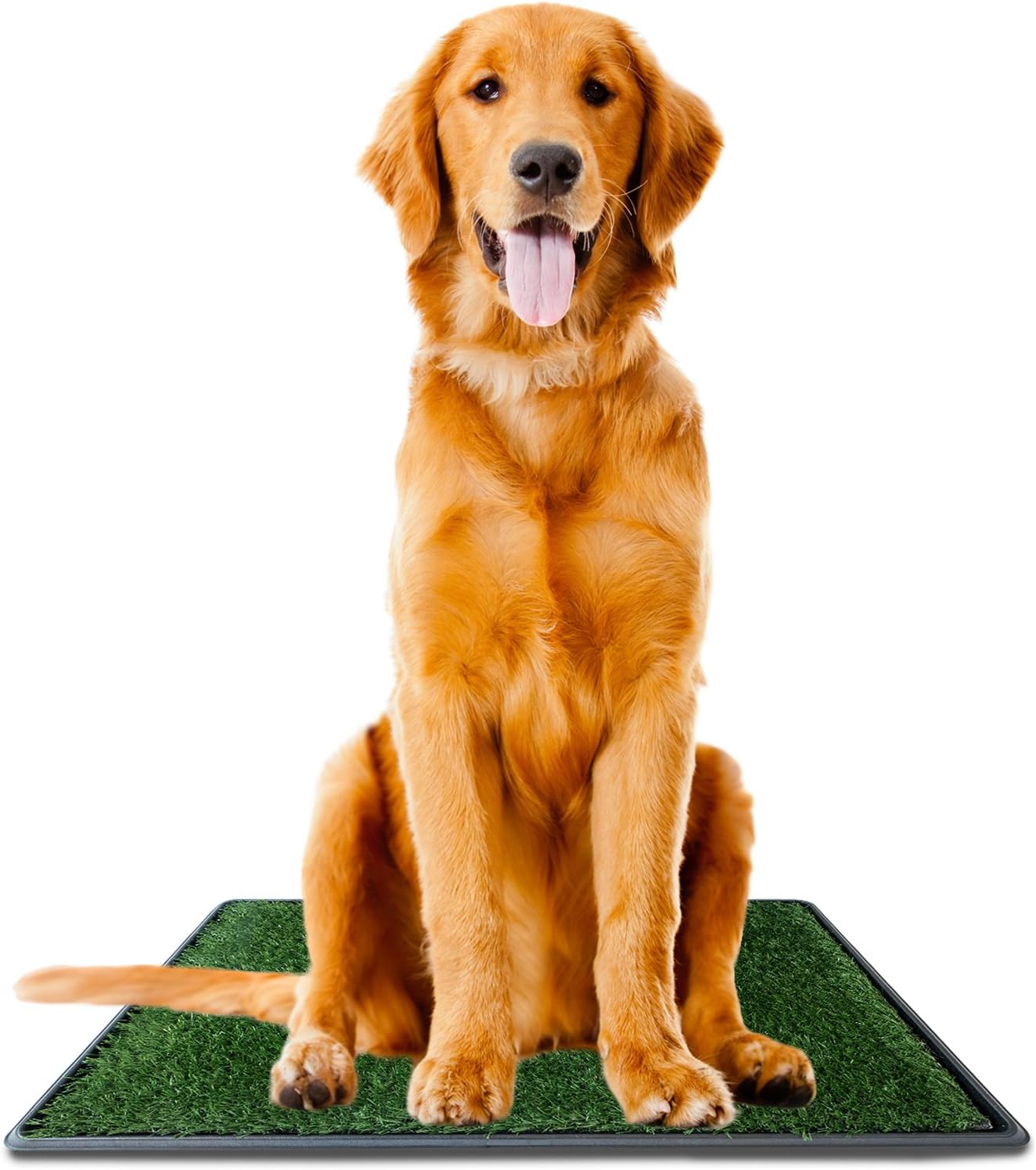 Ideas In Life Dog Potty Grass Pee Pad Large 20" x 30 Artificial Pet