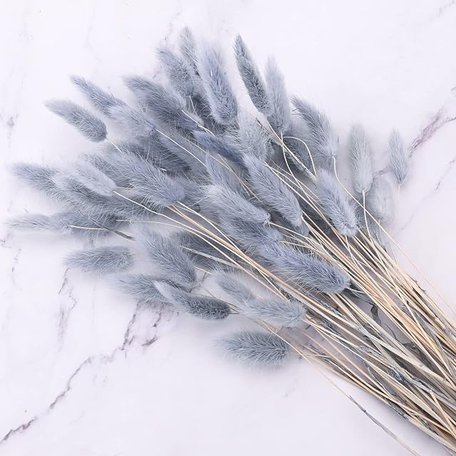 50 Pcs Bunny Tails Pampas Grass Fluffy Pampas Grass Dried Pampas Dry Grass Reed Flower Pampas Grass Bouquet Boho Plant Natural Dried Flowers Plant for Home Wedding (grey)