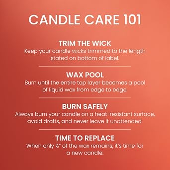 Yankee Candle Spiced Pumpkin Scented Candle, 14.5oz 3-Wick